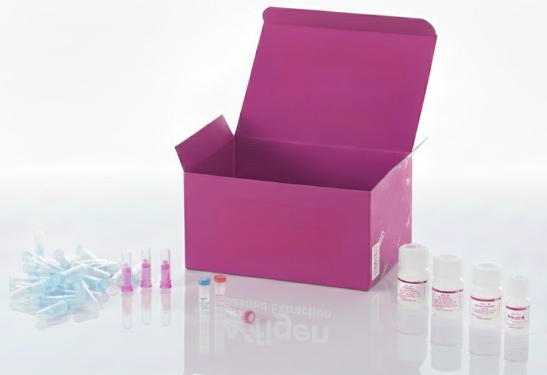 Cáncer de pulmón emparejado con normal, 16 casos en 48 núcleos (2 mm), conjunto 2